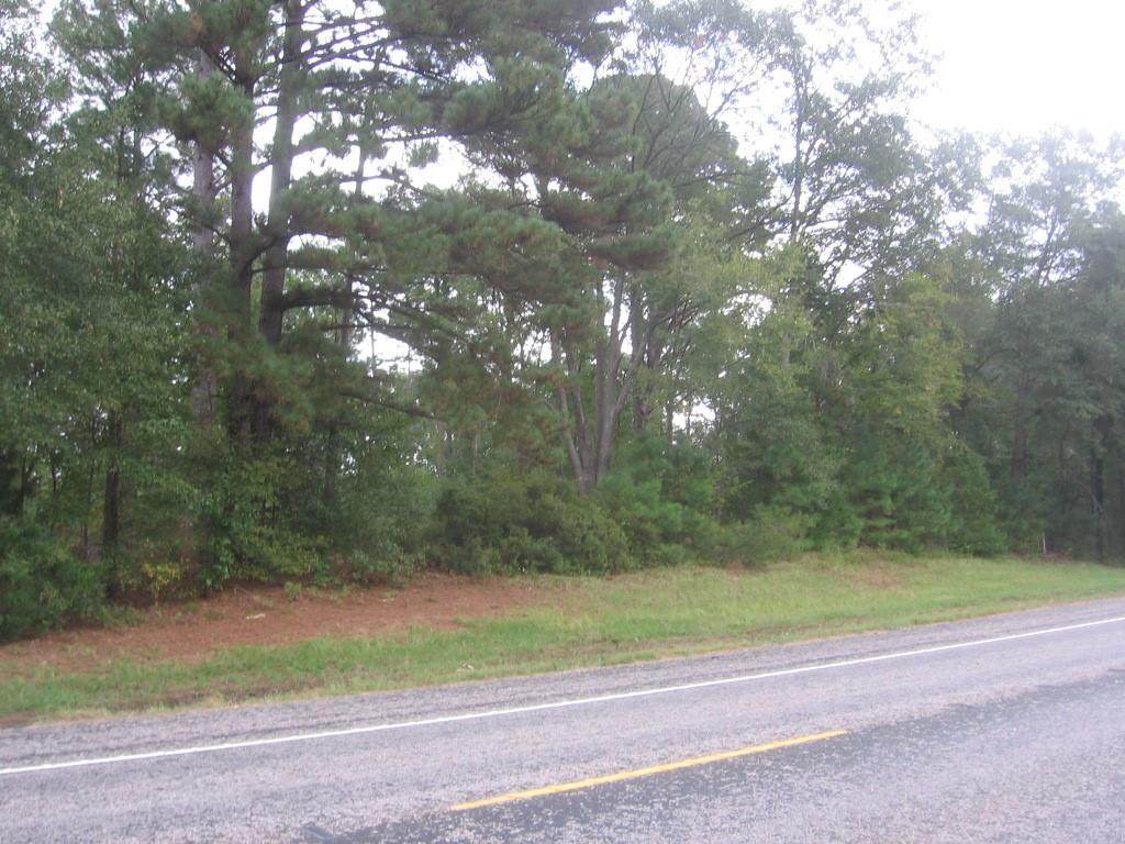 22327 Hwy 64 - Photo 1