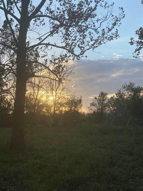 5802 5802 Avenue O - Photo 1