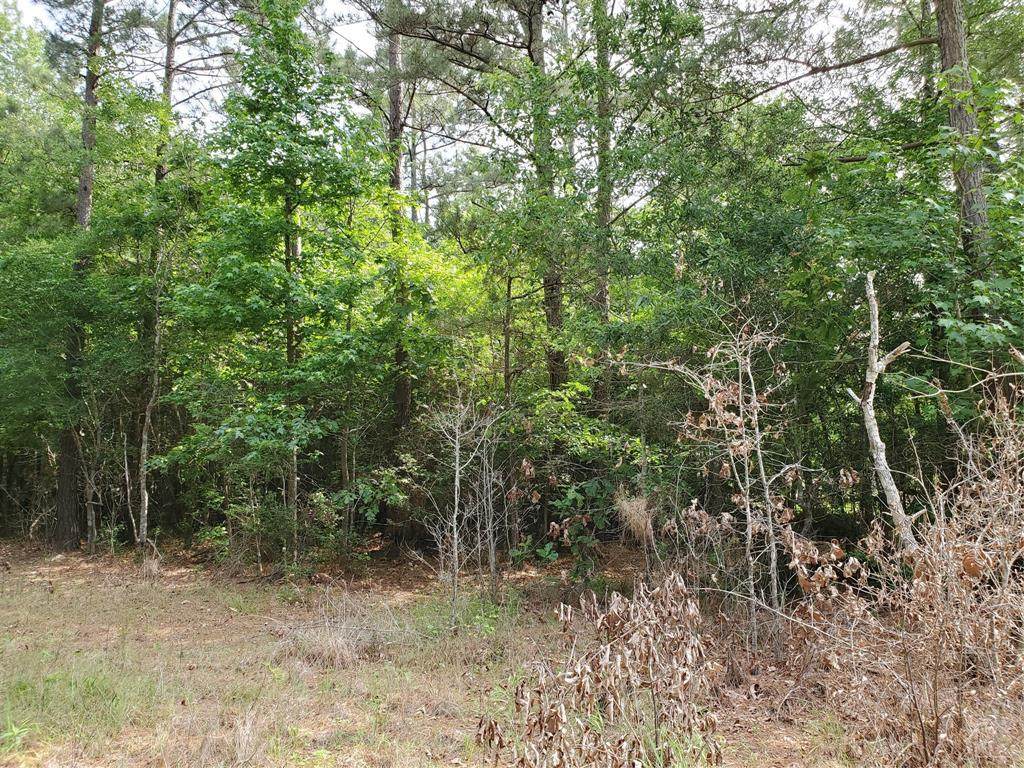 2346 Hickory Hollow Lane - Photo 1