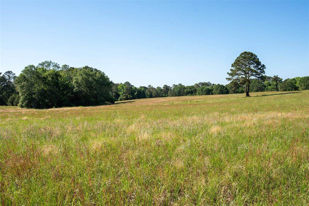 tbd Farm To Market 256 - Photo 1