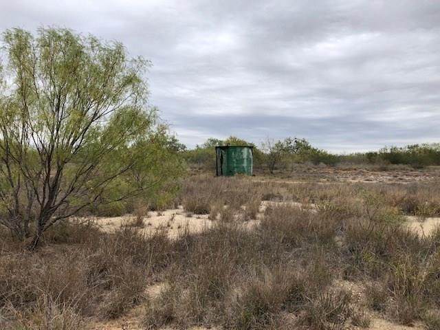 0000 Fm 186 Road - Photo 1