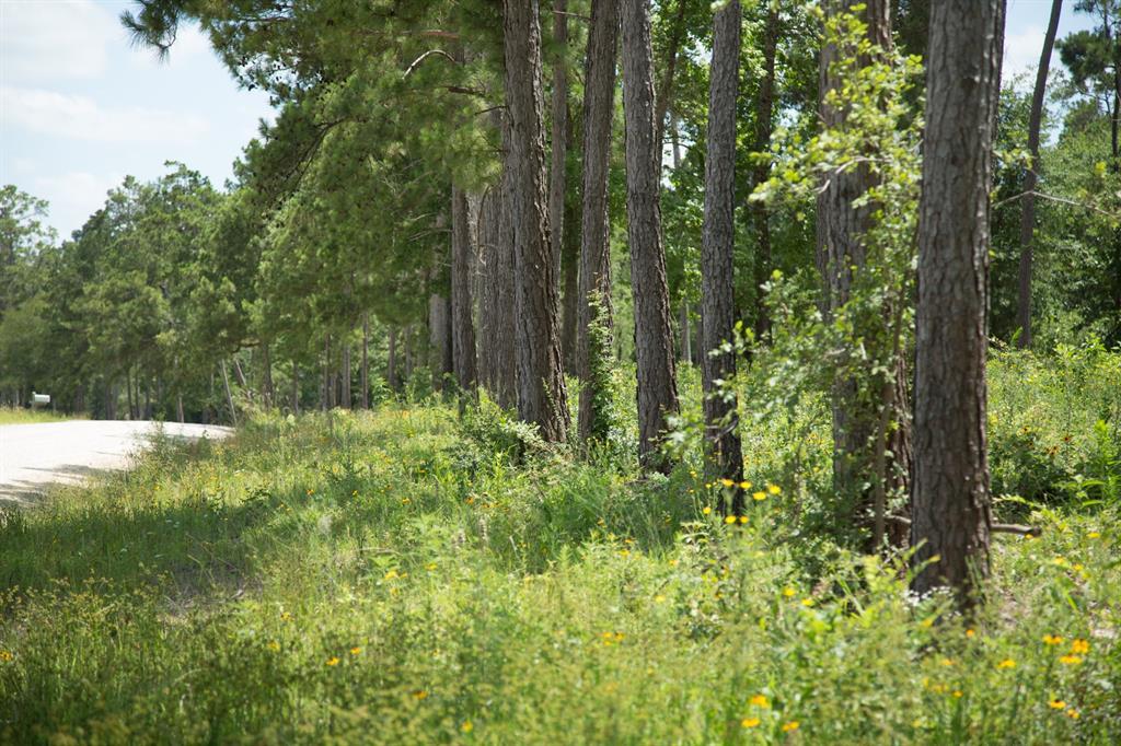 20.259 Ac Guerrant Road - Photo 1