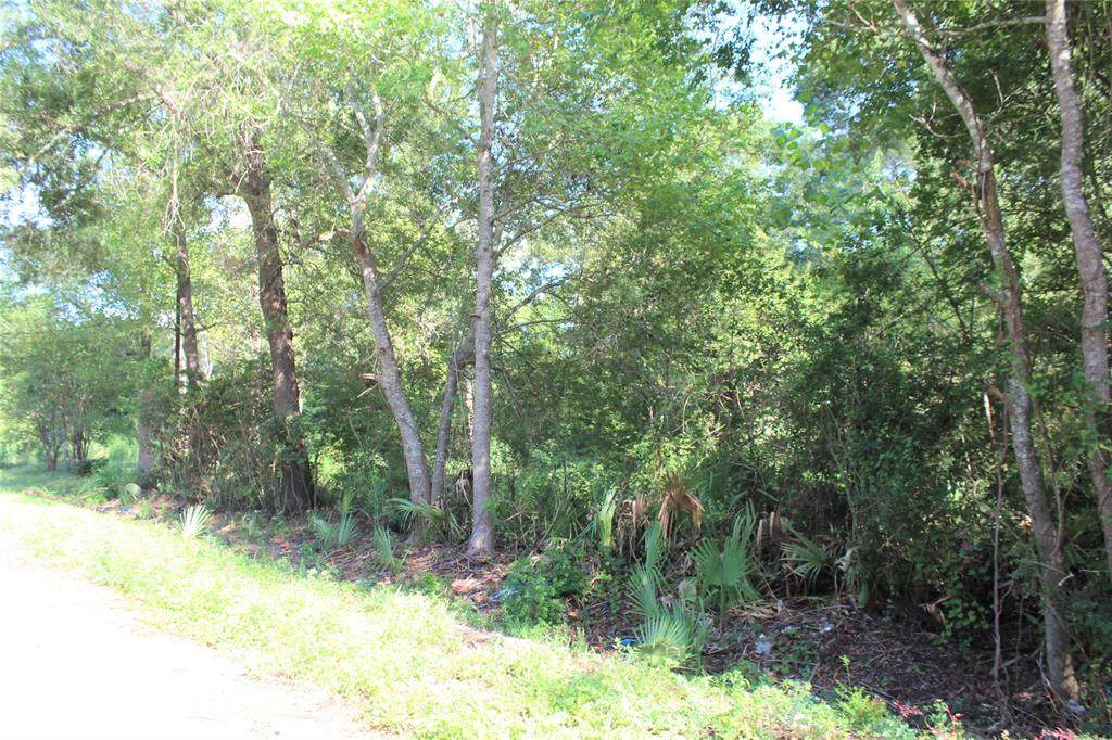 0 River Drive - Photo 1