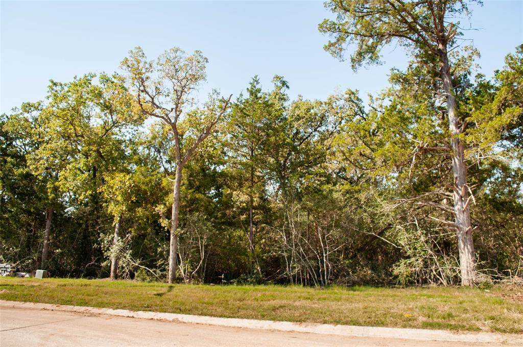 1739 Blanco Bend - Photo 1