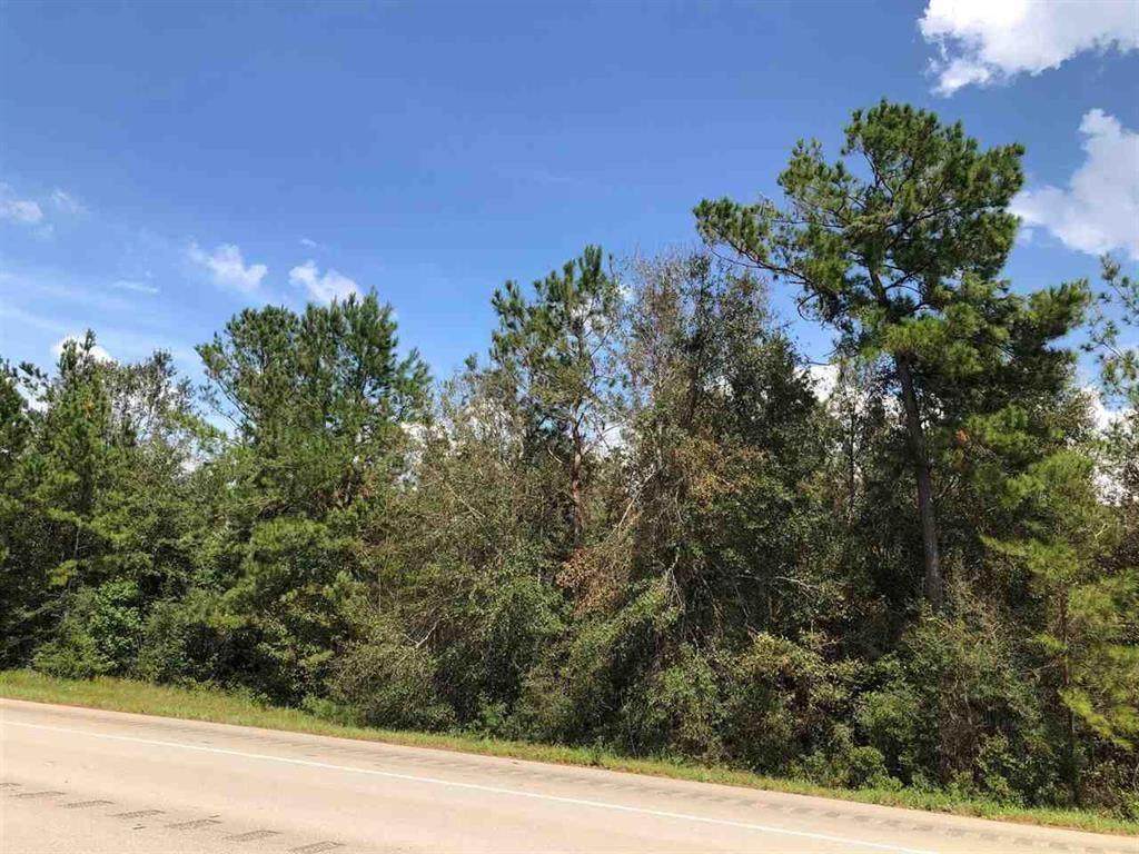 TBD Hwy 87 - Photo 1