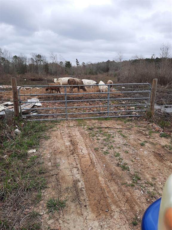 00 Barrett Road - Photo 1