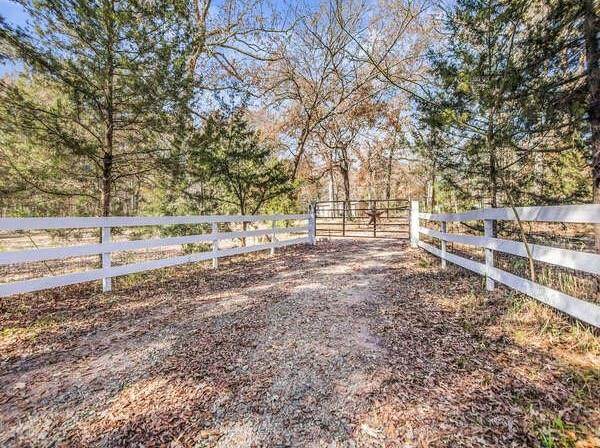 290 Jackson Road - Photo 1