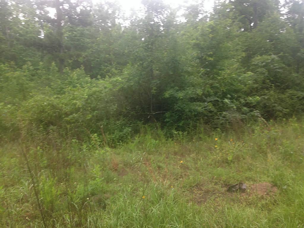 TBD Eastwood Avenue - Photo 1