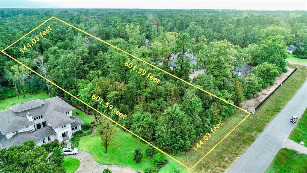 27310 Shady Hills Landing Lane - Photo 1