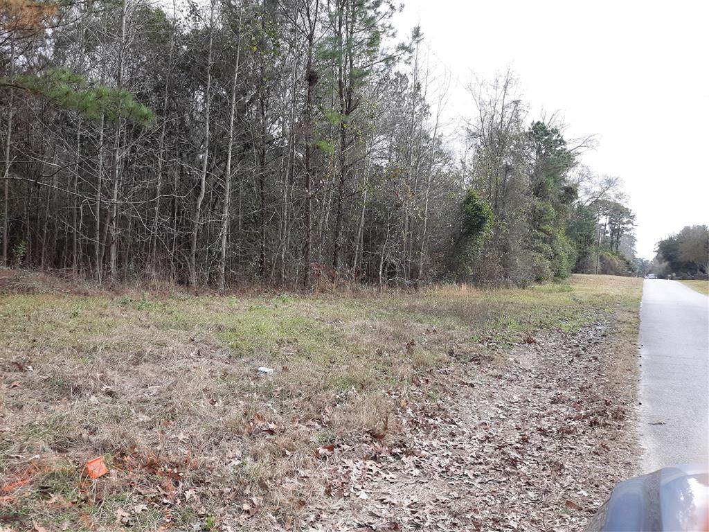 21717 Carol Road - Photo 1