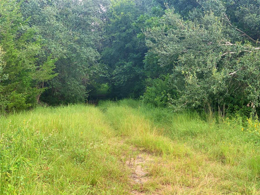 1010 Hwy 90 - Photo 1