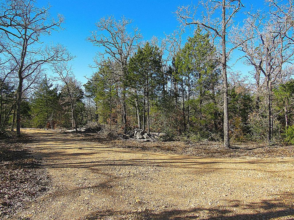 0000 Krenek Lane - Photo 1