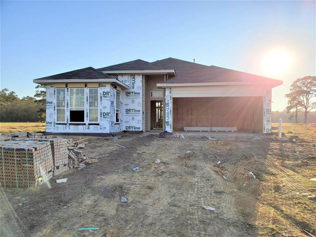 14203 Alberta Spruce Lane - Photo 1