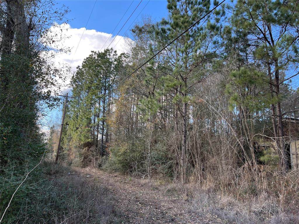 tbd Fm 2854 Highway - Photo 1