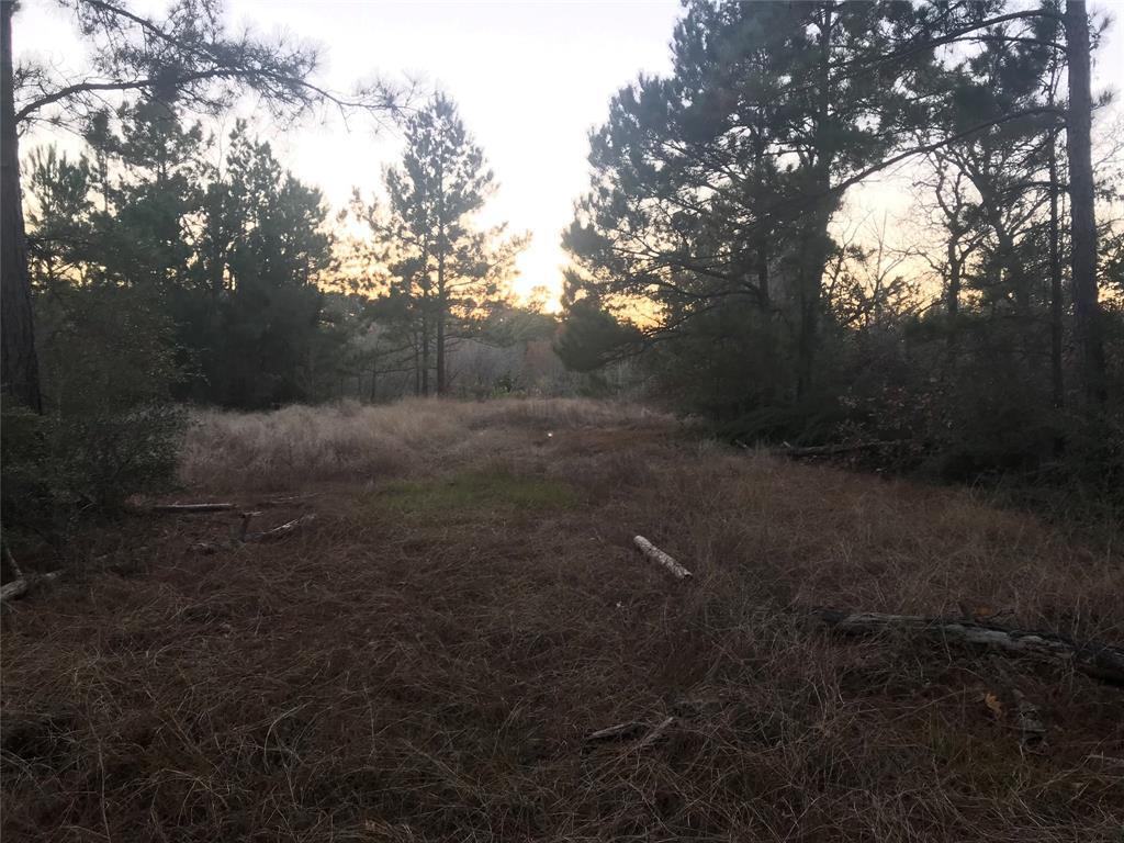 TBD Us W Hwy 190, Tract 1C-1 - Photo 1