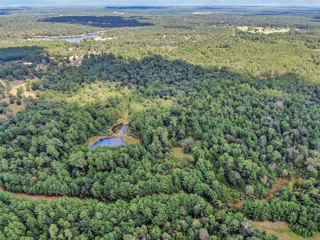 0040 County Road 302 - Photo 1