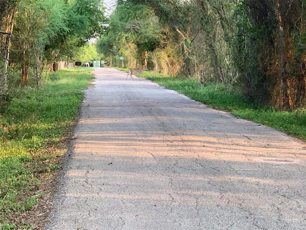 0 Skrivanek Tract 4 Road - Photo 1