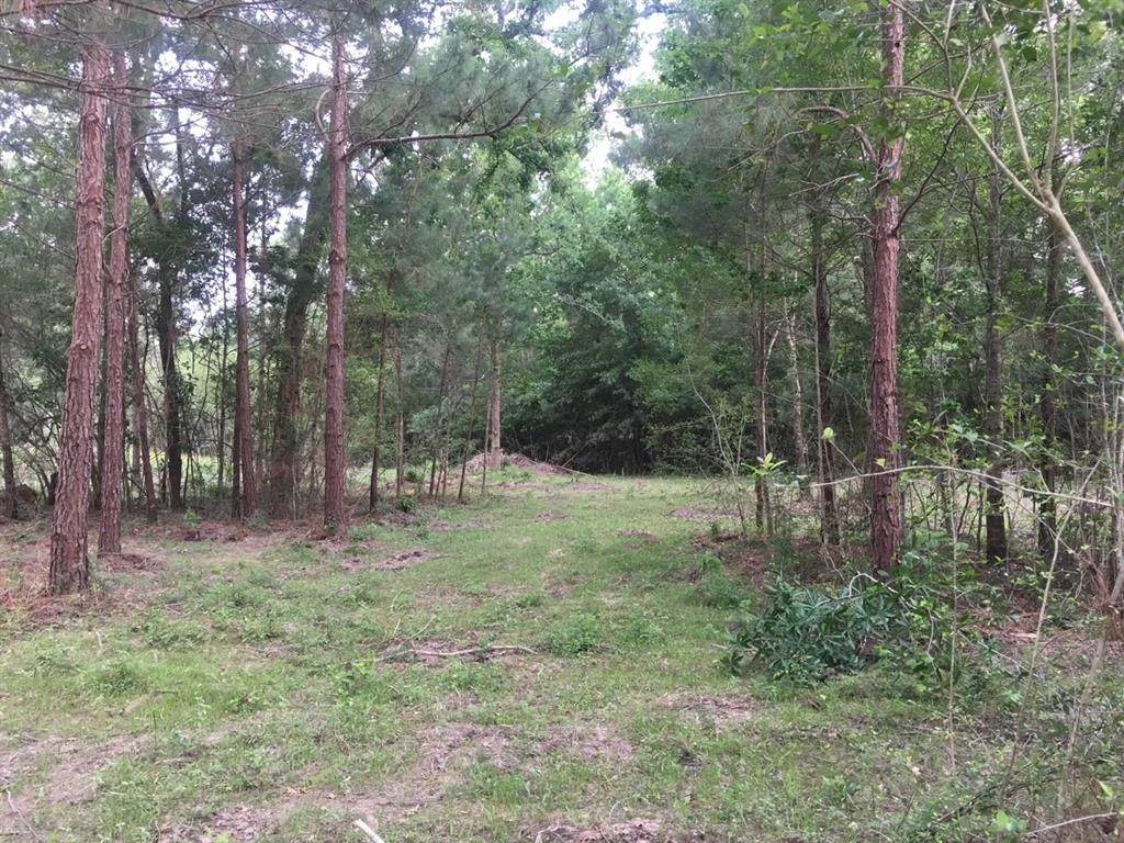 26170 Grand Pines Road - Photo 1