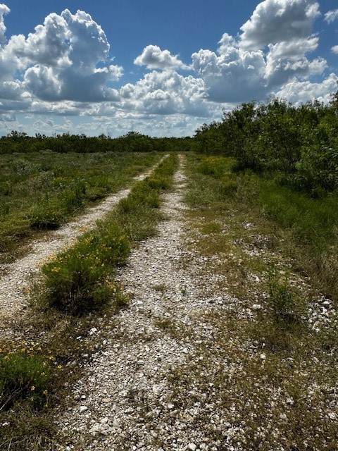 TR 11 Private Road - Photo 1