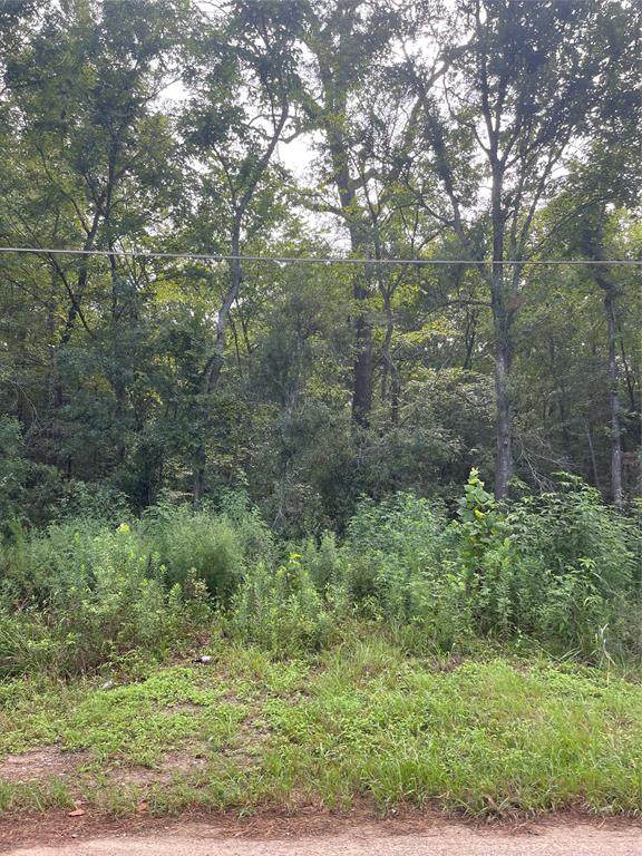 20537 Duester Lane - Photo 1
