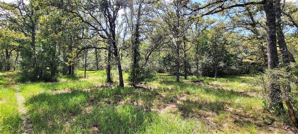 TBD (TR 2) Cr 255 North - Photo 1