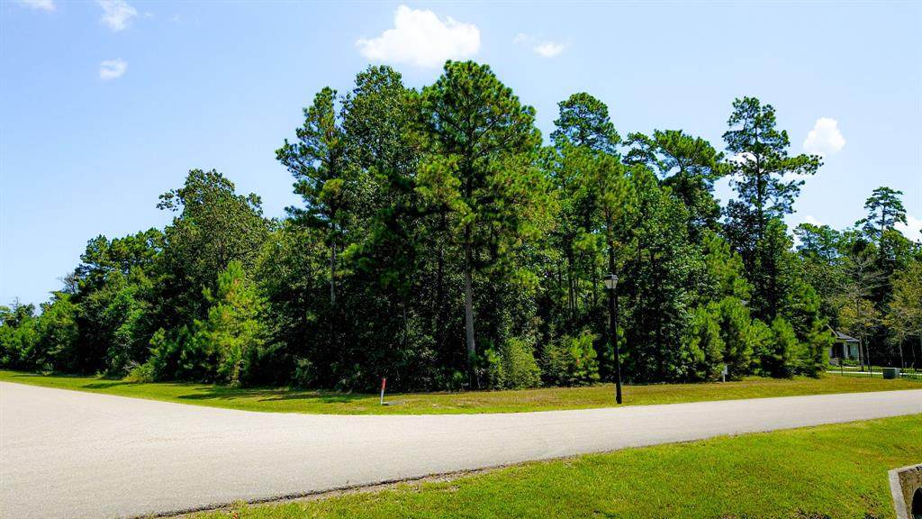 27411 Shady Hills Landing Lane - Photo 1