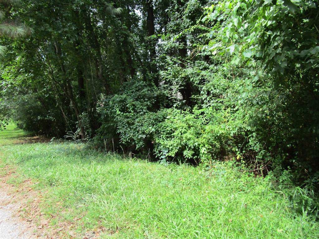 0 Lilac Lane - Photo 1