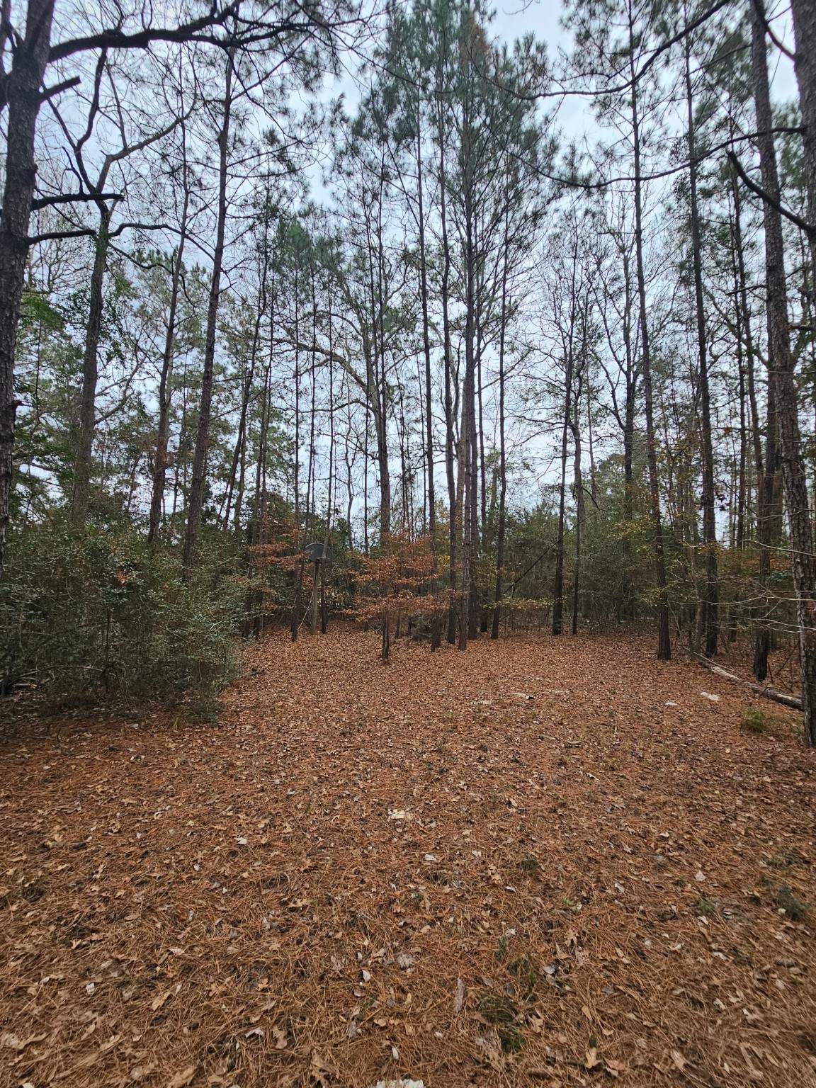 263 Wishing Trail - Photo 1