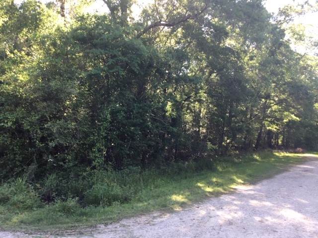 000 Brook Tree - Photo 1