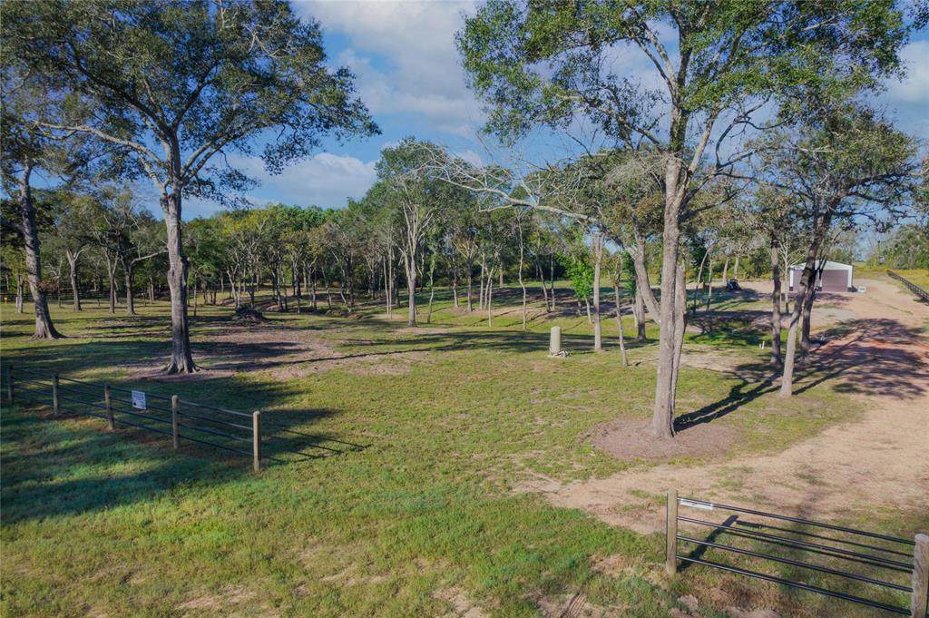 3981 Eli Road - Photo 1