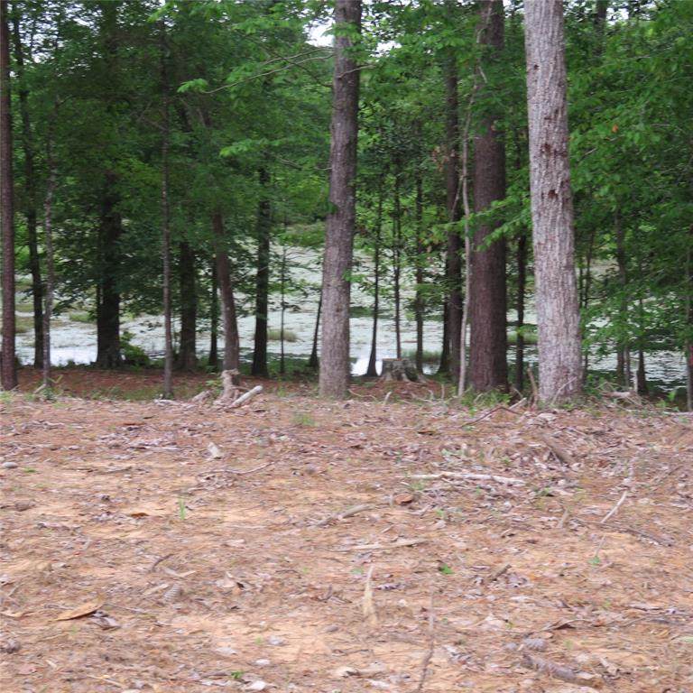 000 Lakewood Drive - Photo 1