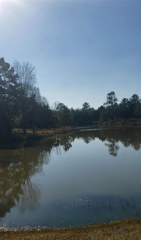 TBD Sandpiper Lane - Photo 1