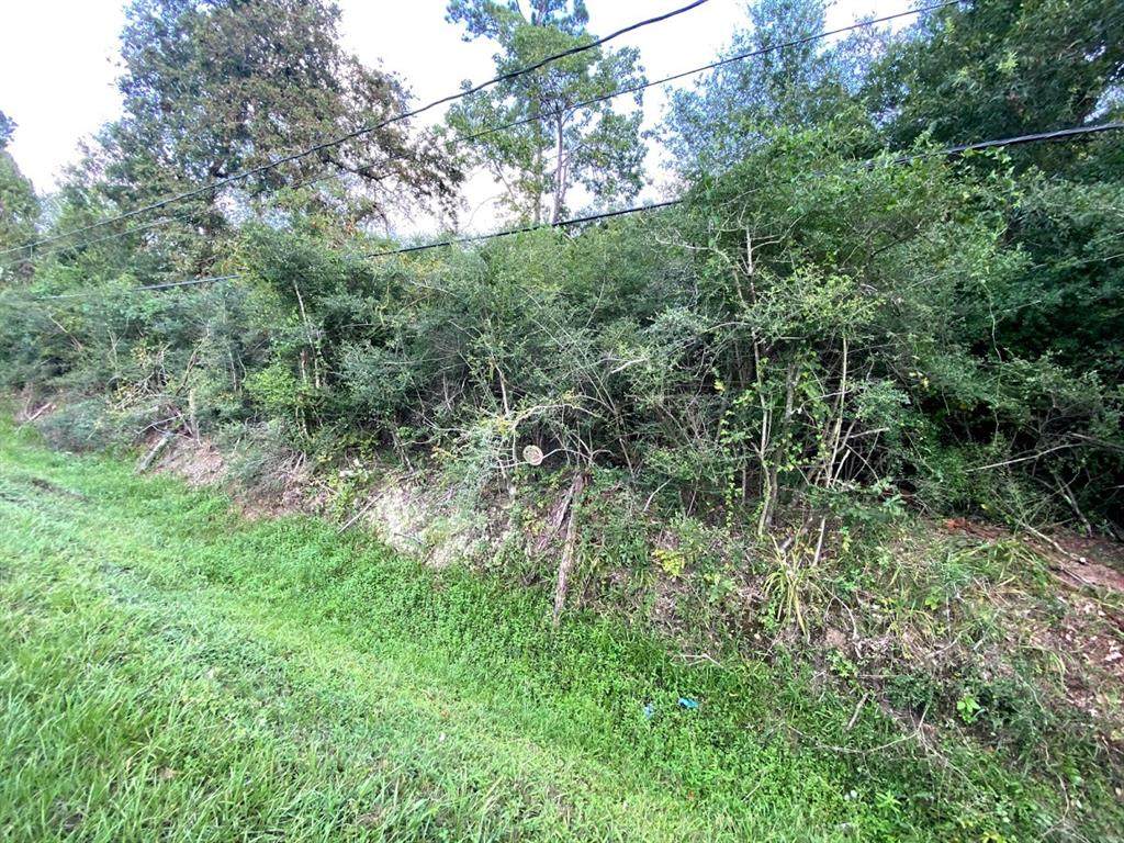0 Laurelwood Drive - Photo 1