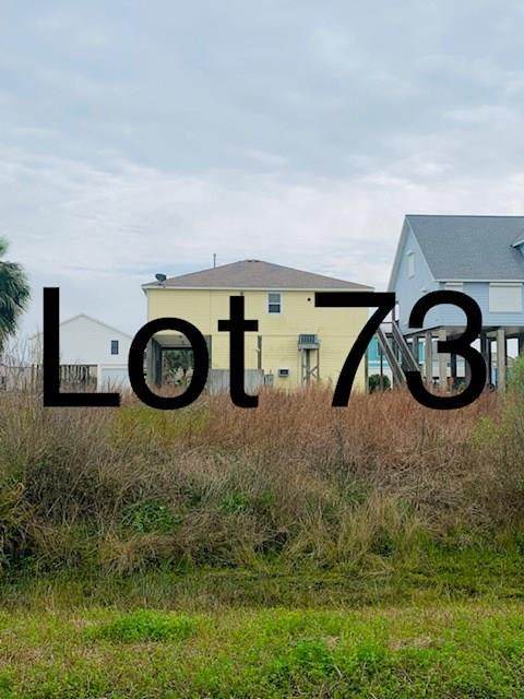TBD73 Whooping Crane Street - Photo 1