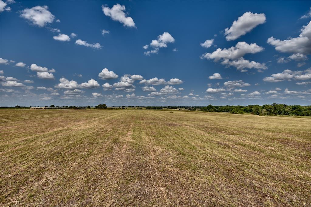 00 Old Chappell Hill Road - Photo 1
