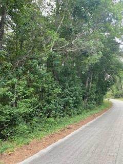 12938 Royal Springs Road - Photo 1