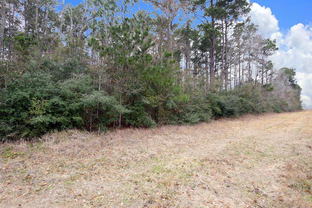A0467 Reynolds George Tract 2 - Photo 1