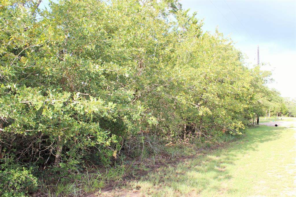 459 Berry Lane - Photo 1