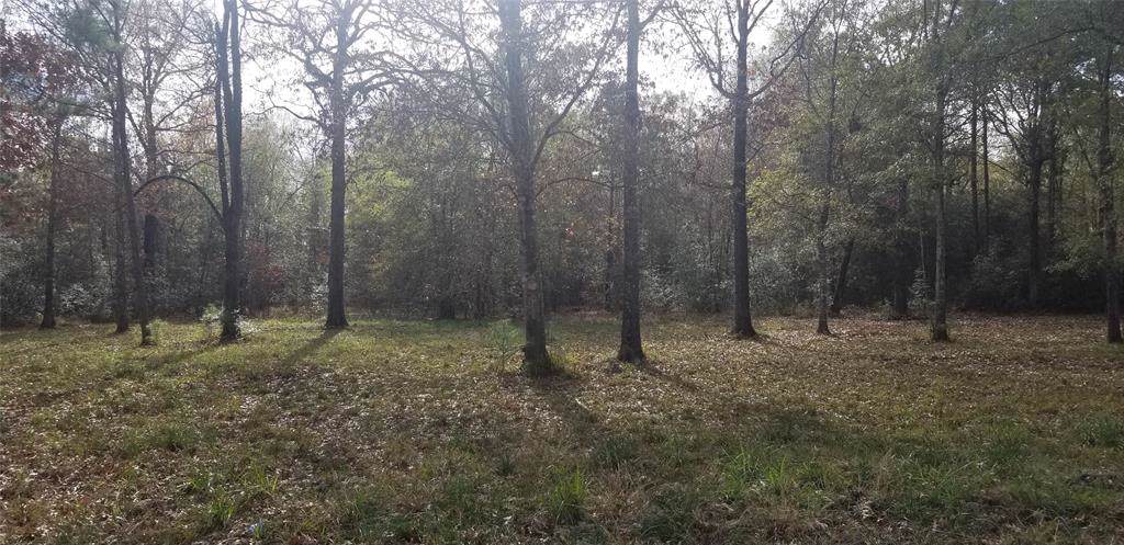 00 Hidden Cove Road - Photo 1
