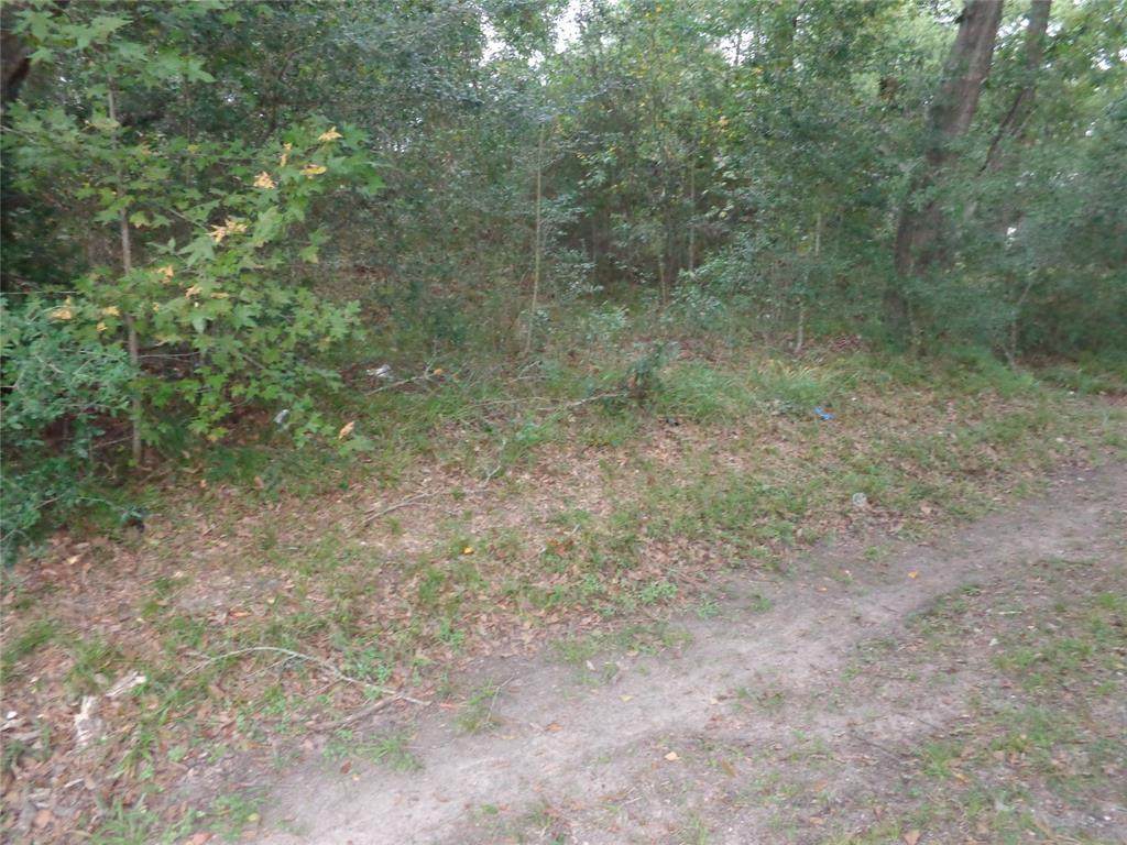 0 Little Doe Drive - Photo 1