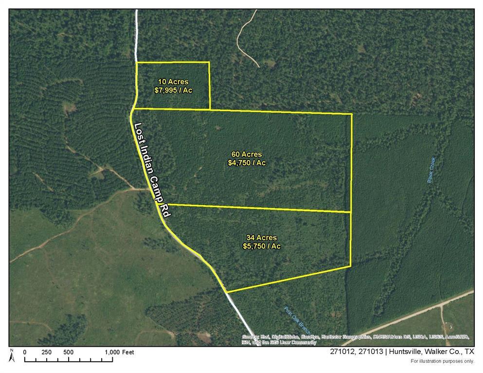 00000 Lost Indian Camp Road - Photo 1