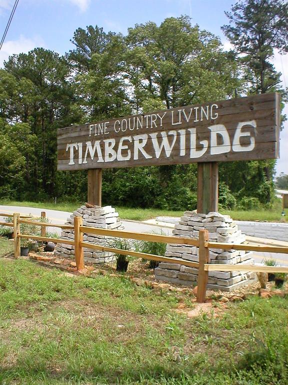 TBD Tanglewood Drive - Photo 1