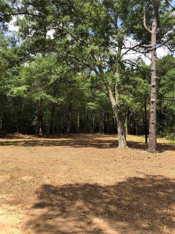 13376 Lueders Lane - Photo 1