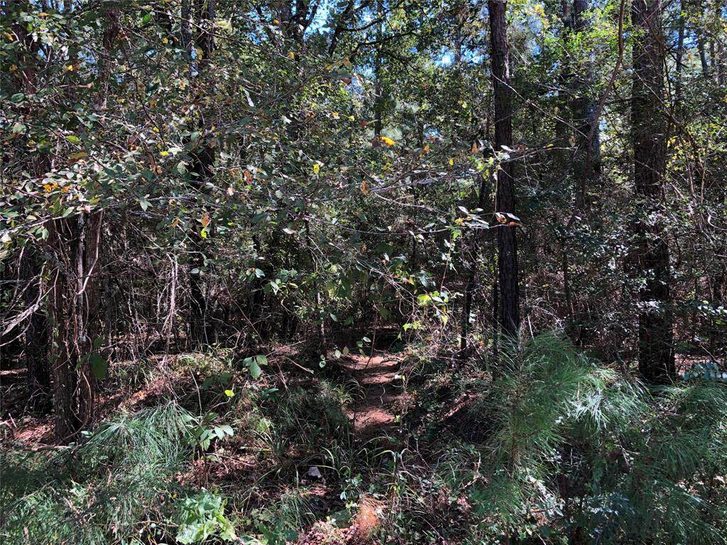 Lot 16F Stuart Ln - Photo 1