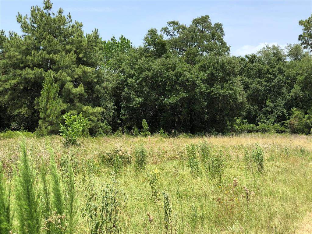 12338 Spring Cypress Road - Photo 1