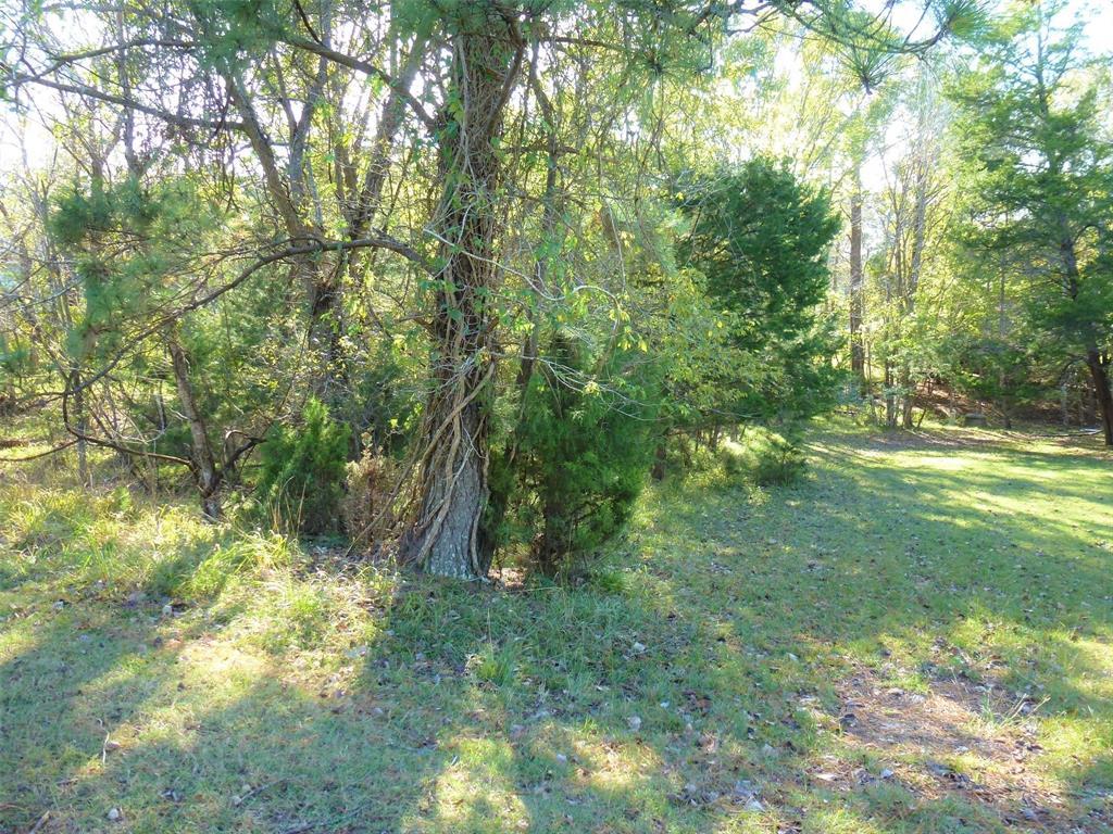 11 & 15 Forest Cove Loop - Photo 1