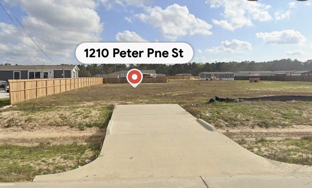 1210 Peter Pine Street - Photo 1
