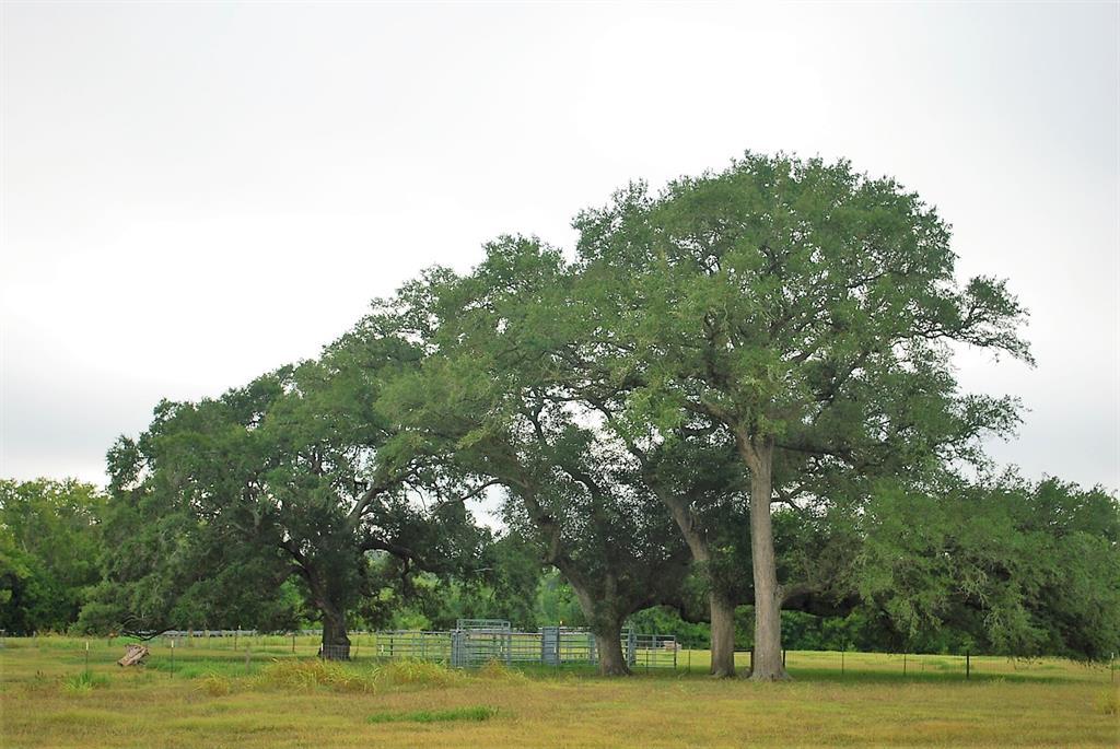 1578 Fm 109 - Photo 1