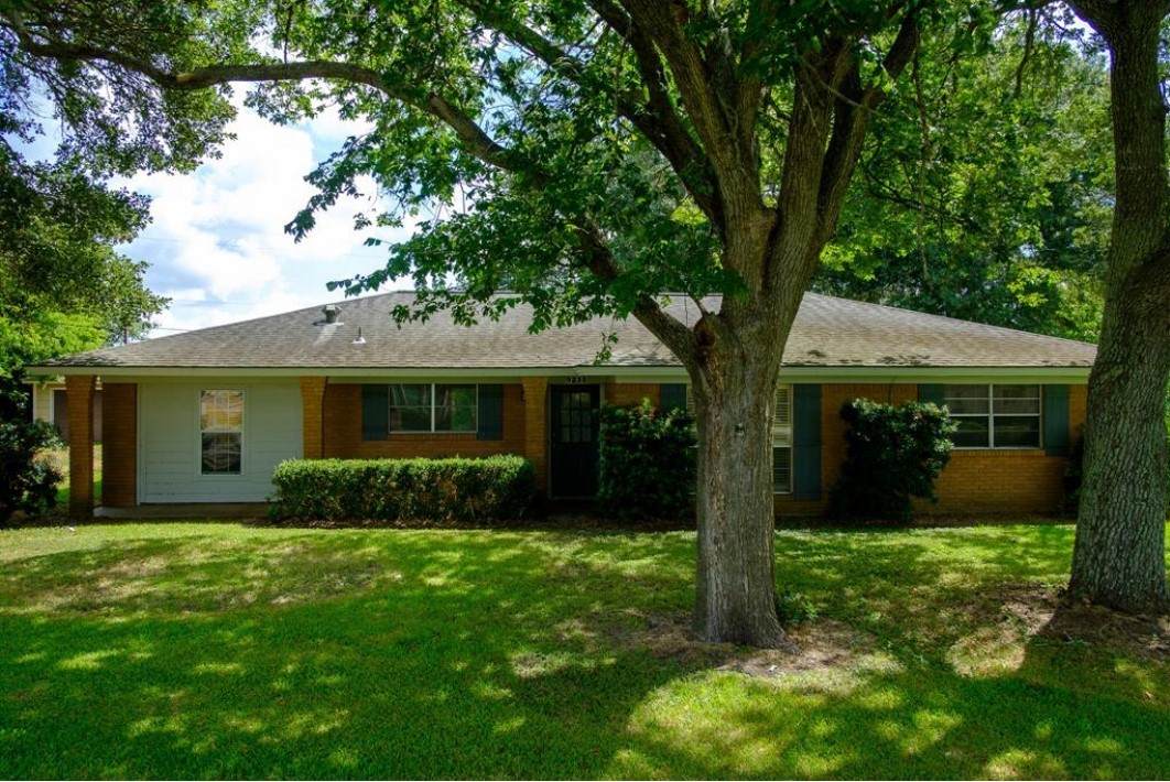 9231 Kostelnik Street - Photo 1