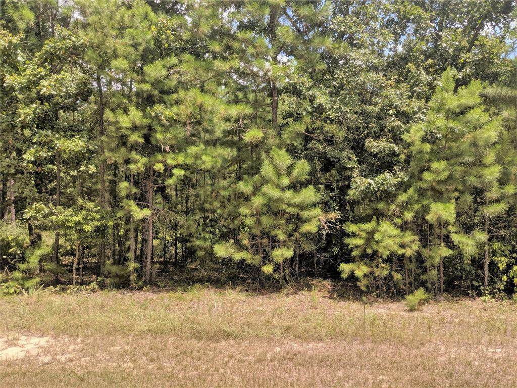 TBD Lakeside Drive - Photo 1